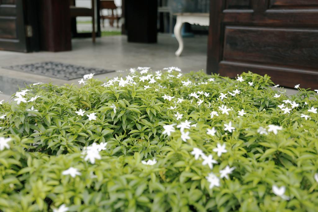 Mona Chiangmai Boutique Hotel Chiang Mai Exterior foto